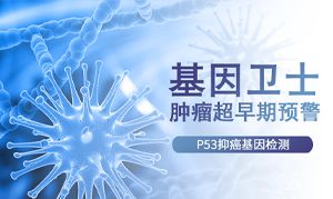 P53抑癌基因檢測(cè)