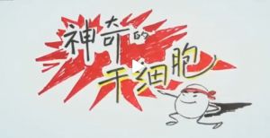 神奇的干細胞
